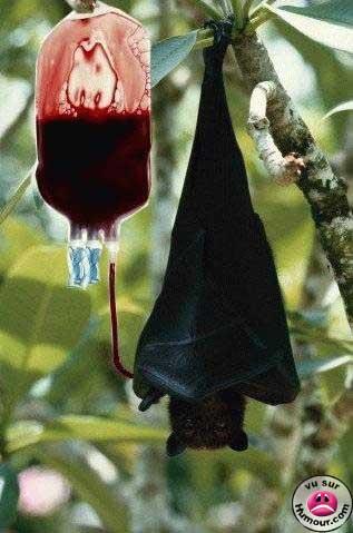 vampirisme